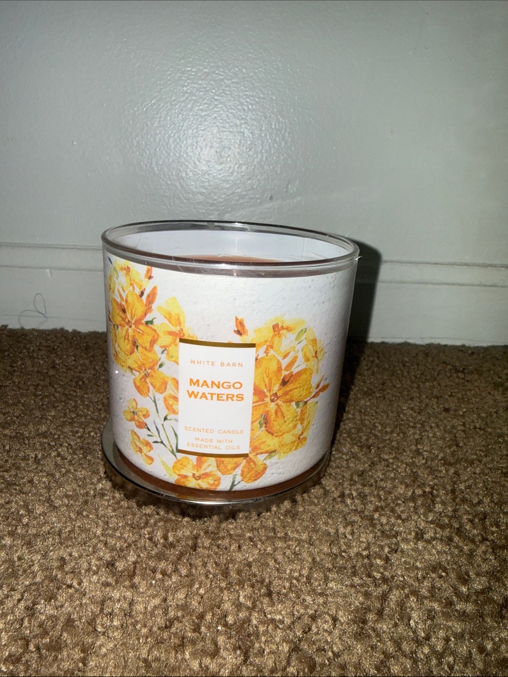White Barn Mango Waters Scented Candle